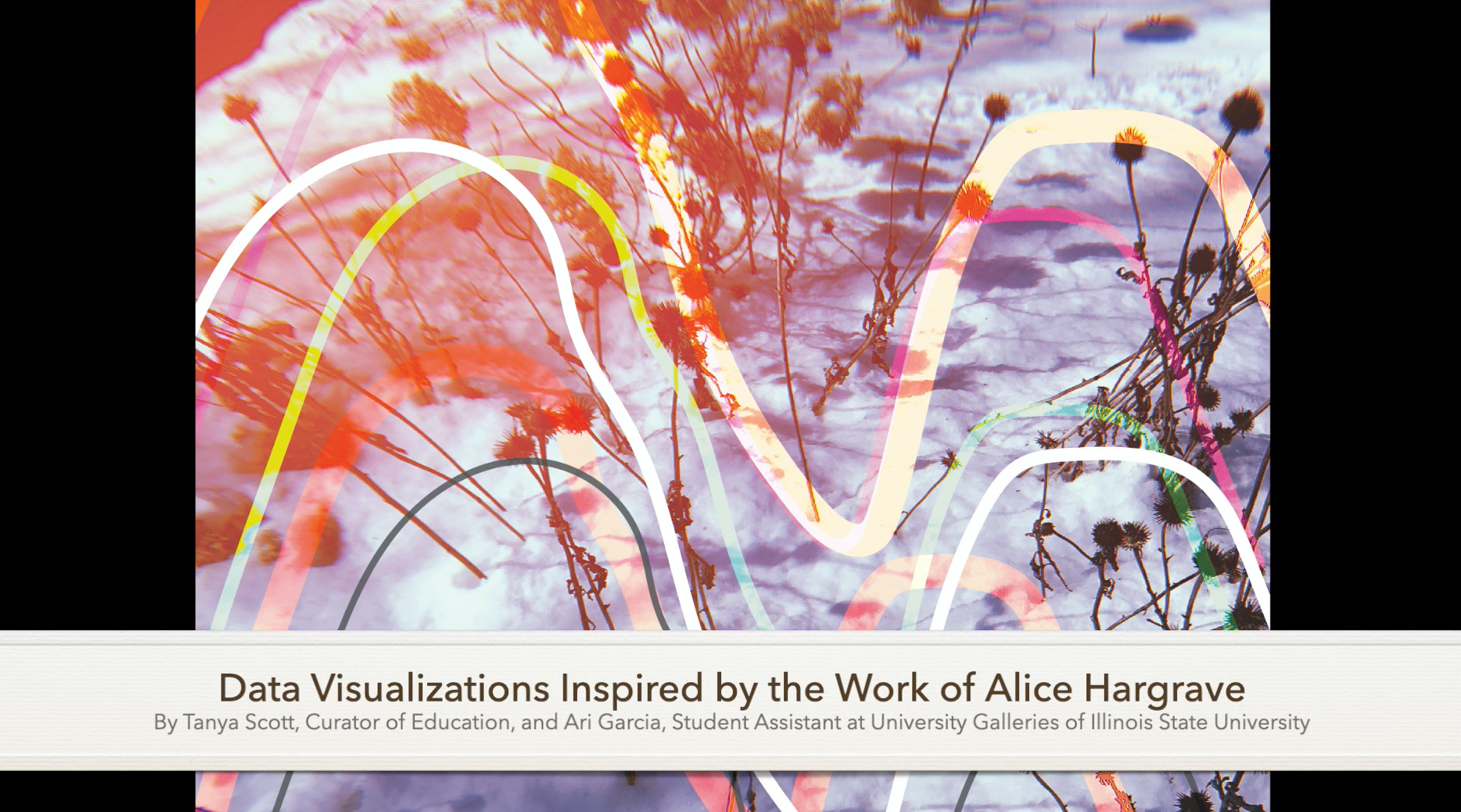 Artmaking Videos University Galleries Illinois State